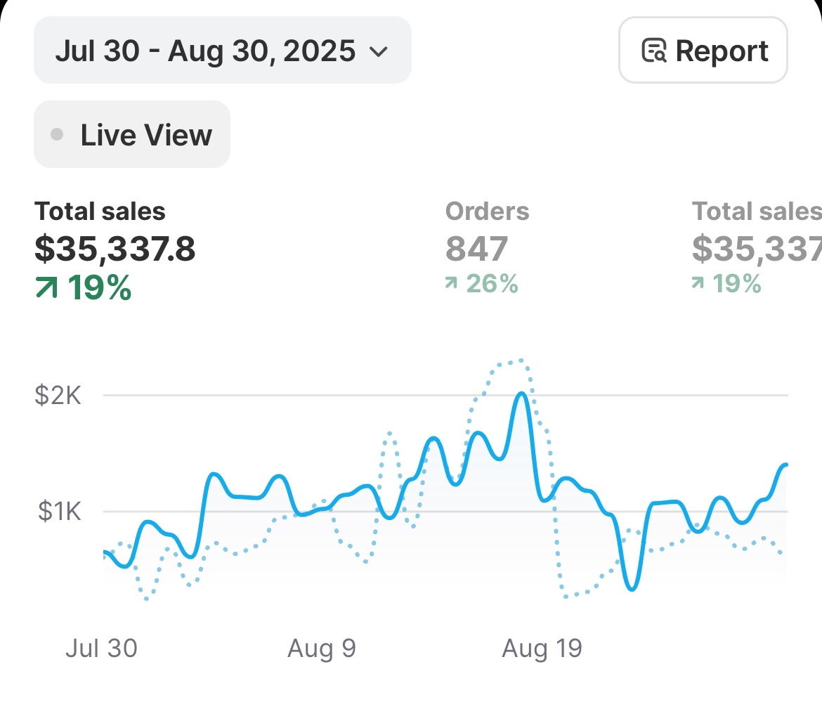 Sales Performance Dashboard - $35k monthly revenue with 19% growth